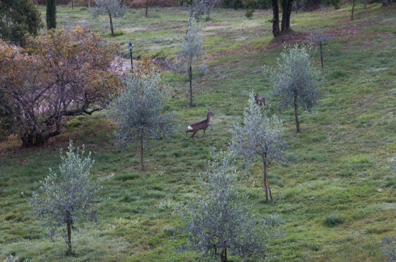 Podere Piandicava Castelnuovo di Val di Cecina Exterior photo