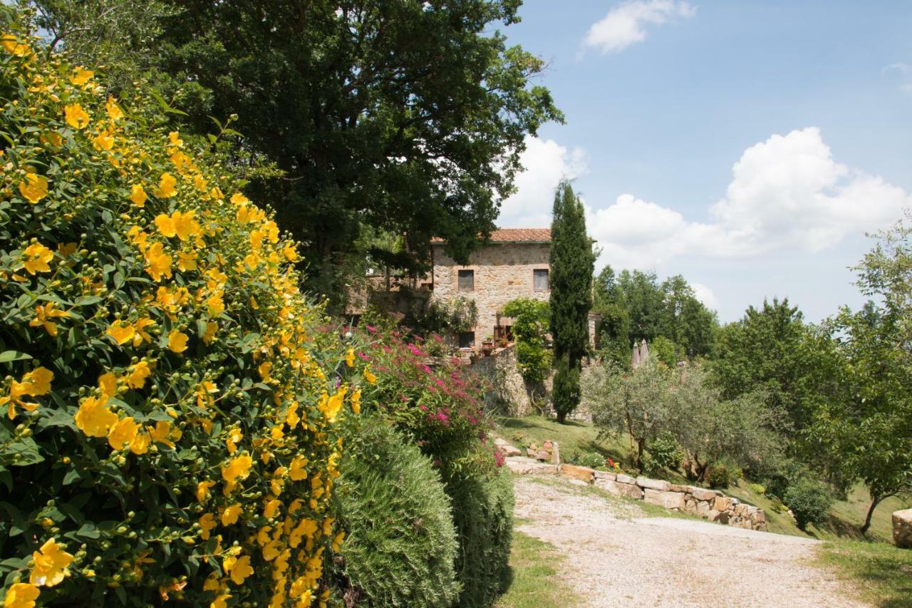 Podere Piandicava Castelnuovo di Val di Cecina Exterior photo